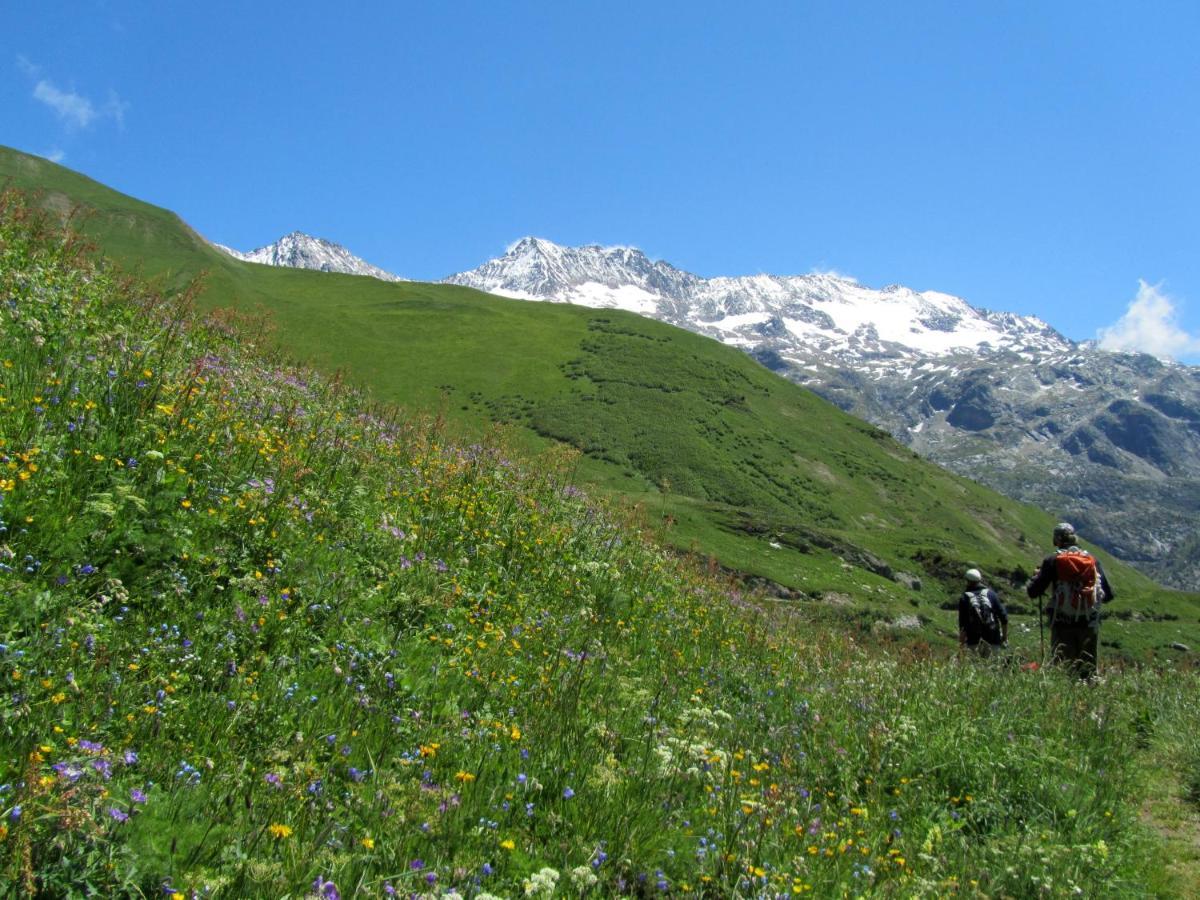 Chalet La Petite Soeur Villa Villard-Reculas Екстериор снимка
